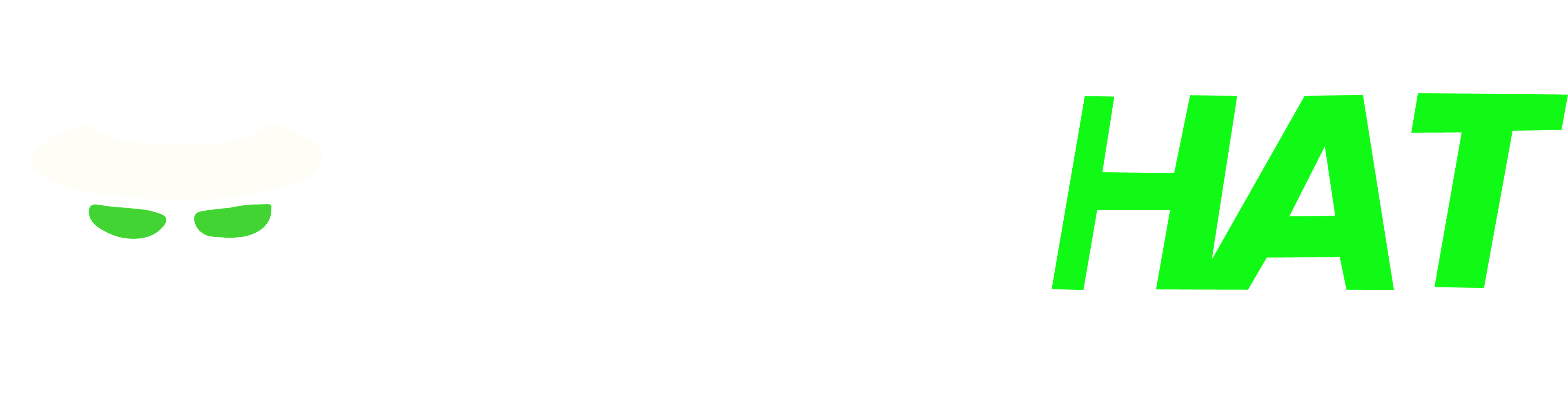 Vulnhat (Pvt) Ltd